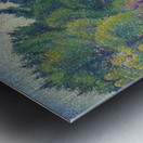 Henri Edmond Cross 49 Metal print