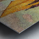 Henri Edmond Cross 16 Metal print