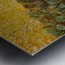 Vincent van Gogh 6 Metal print