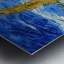 Vincent van Gogh 9 Metal print