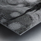 Vincent van Gogh 14 Metal print