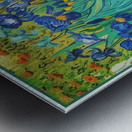 Vincent van Gogh 17 Metal print