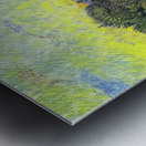 Vincent van Gogh 19 Metal print