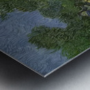 Vincent van Gogh 29 Metal print