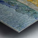 Vincent van Gogh 30 Metal print