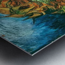 Vincent van Gogh 33 Metal print