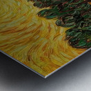 Vincent van Gogh 47 Metal print