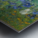 Vincent van Gogh 50 Metal print