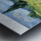 Vincent van Gogh 52 Metal print