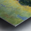 Vincent van Gogh 58 Metal print