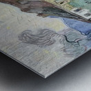 Vincent van Gogh 3 Metal print