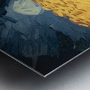 Vincent van Gogh 8 Metal print