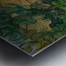 Vincent van Gogh 9 Metal print