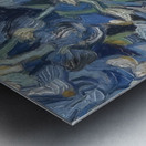 Vincent van Gogh 11 Metal print