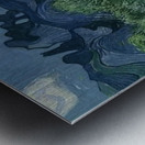 Vincent van Gogh 17 Metal print