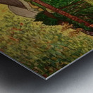 Vincent van Gogh 28 Metal print