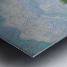 Vincent van Gogh 29 Metal print