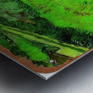 Vincent van Gogh 32 Metal print