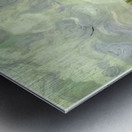 Vincent van Gogh 36 Metal print