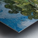 Vincent van Gogh 38 Metal print