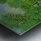 Vincent van Gogh 40 Metal print