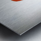 Salvador Dalí 2 Metal print