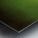 Salvador Dalí 9 Metal print