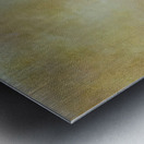 Salvador Dalí 10 Metal print