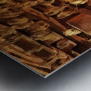 Salvador Dalí 13 Metal print