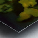 Salvador Dalí 29 Metal print