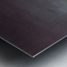 Salvador Dalí 30 Metal print