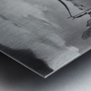 Salvador Dalí 31 Metal print