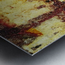 Salvador Dalí 47 Metal print