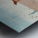 Salvador Dalí 50 Metal print