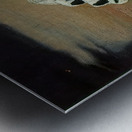 Salvador Dalí 1 Metal print