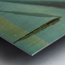 Salvador Dalí 9 Metal print