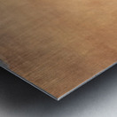 Salvador Dalí 11 Metal print