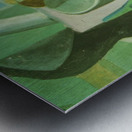 Salvador Dalí 17 Metal print