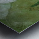 Salvador Dalí 25 Metal print