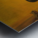 Salvador Dalí 45 Metal print