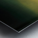 Salvador Dalí 51 Metal print