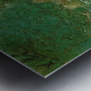 Salvador Dalí 54 Metal print