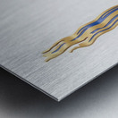 Roy Lichtenstein 38 Metal print