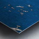 Roy Lichtenstein 45 Metal print