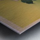 suchiya Koitsu 2 Metal print