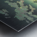 suchiya Koitsu 6 Metal print