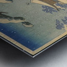 suchiya Koitsu 8 Metal print