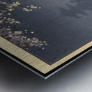 suchiya Koitsu 11 Metal print