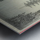 suchiya Koitsu 12 Metal print