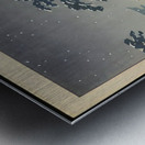 suchiya Koitsu 22 Metal print